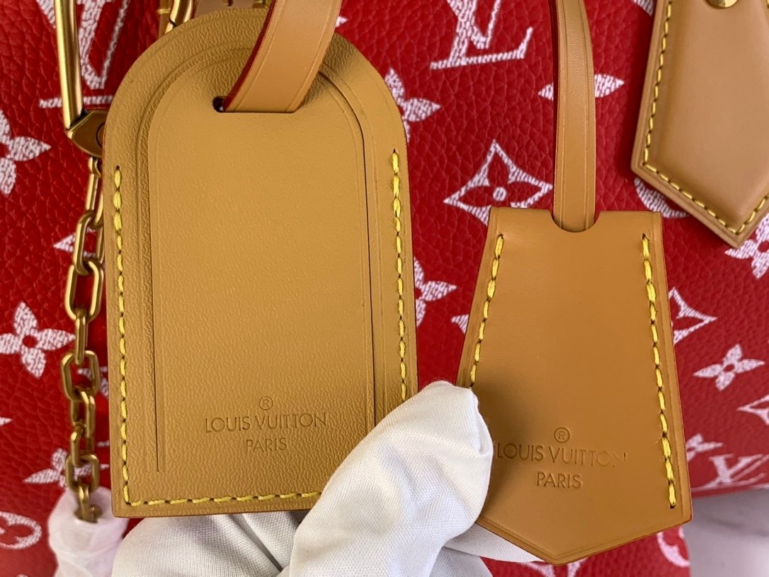 【LOUIS VUITTON】LV Bag OG - 图片 6