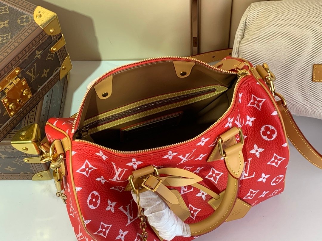 【LOUIS VUITTON】LV Bag OG - 图片 8