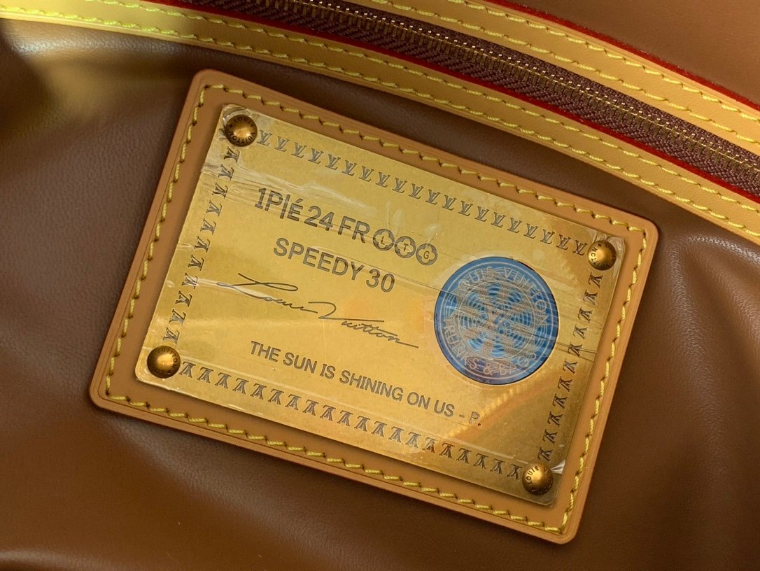 【LOUIS VUITTON】LV Bag OG - 图片 9