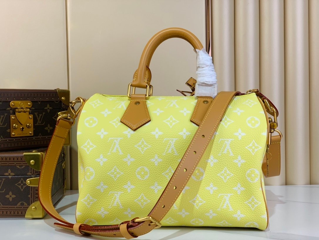【LOUIS VUITTON】LV Bag OG - 图片 3