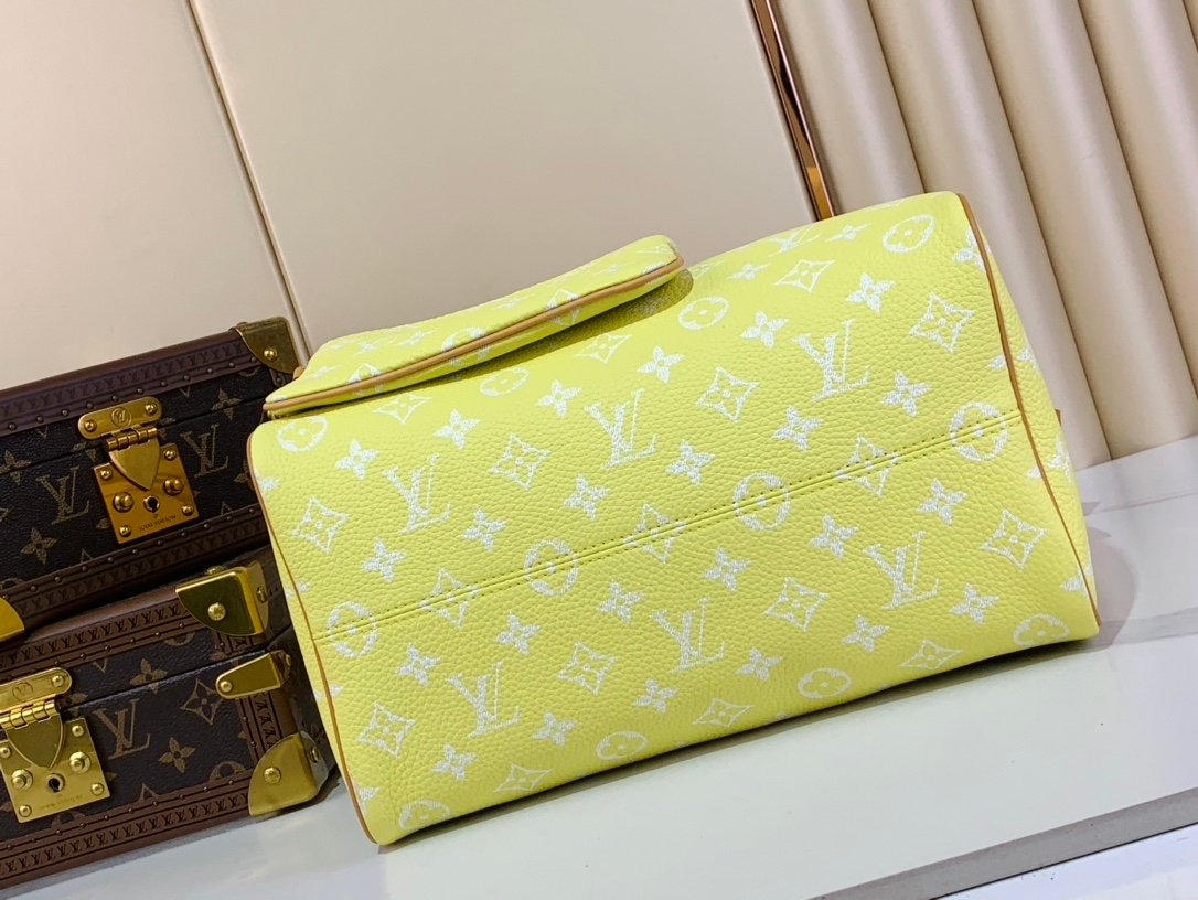 【LOUIS VUITTON】LV Bag OG - 图片 4