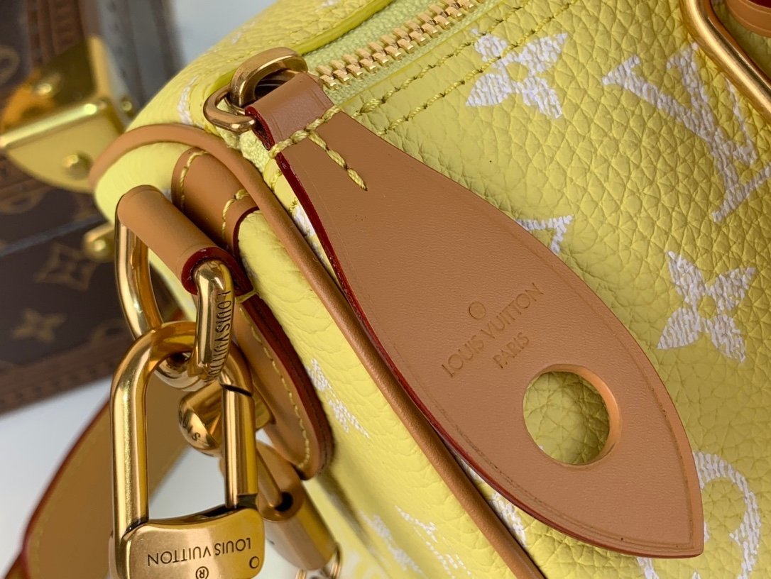 【LOUIS VUITTON】LV Bag OG - 图片 5
