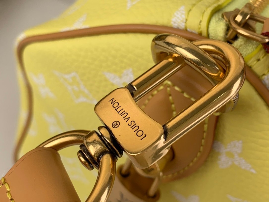 【LOUIS VUITTON】LV Bag OG - 图片 6