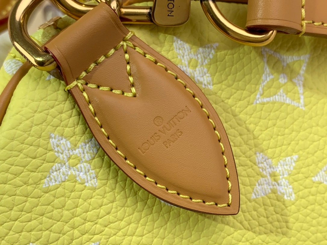 【LOUIS VUITTON】LV Bag OG - 图片 7