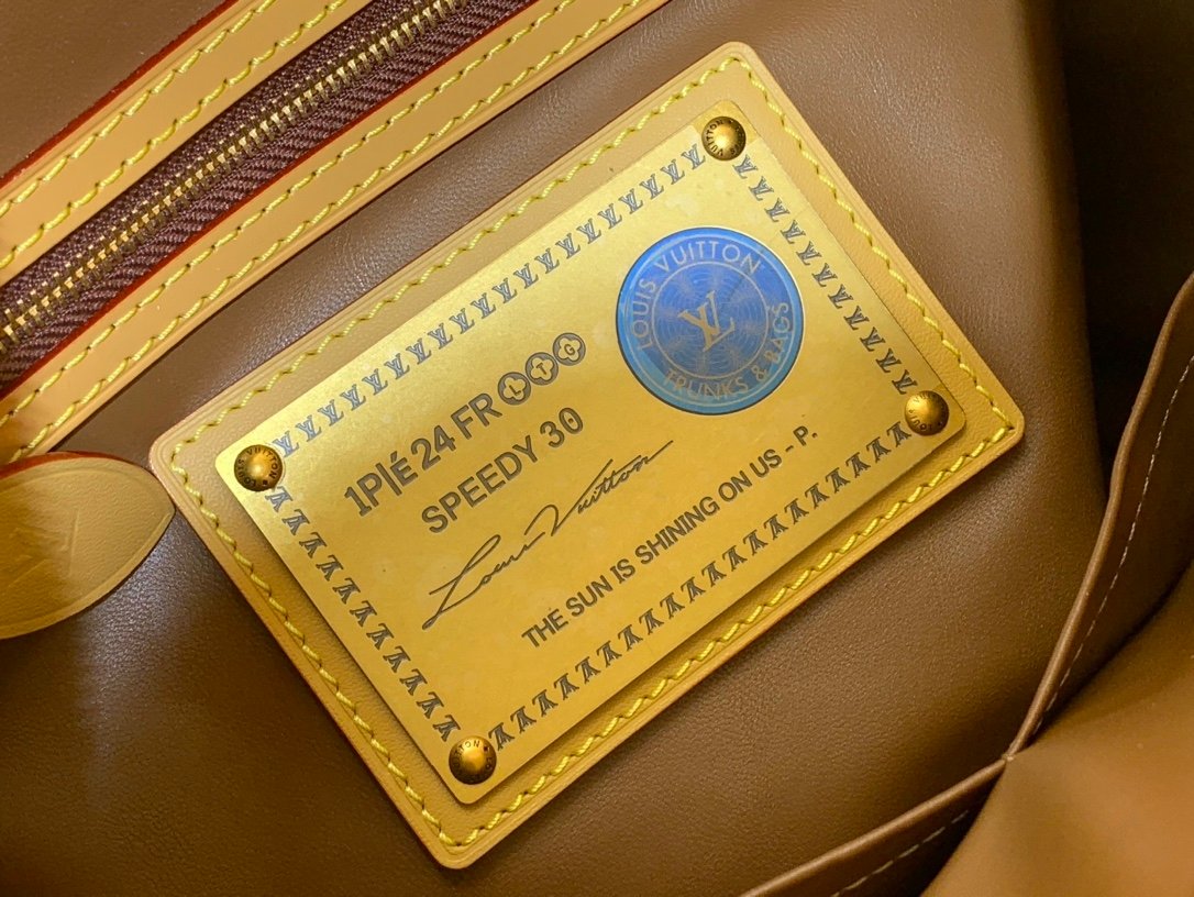 【LOUIS VUITTON】LV Bag OG - 图片 8
