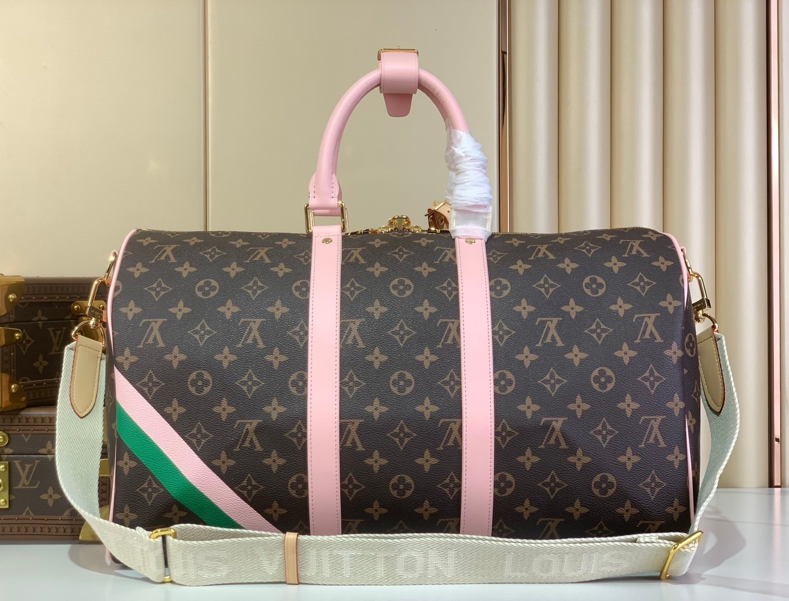 【LOUIS VUITTON】LV Bag OG - 图片 3