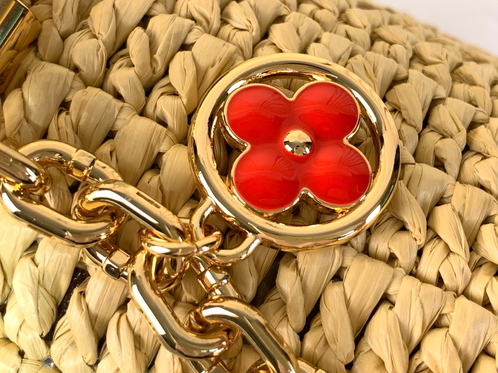 【LOUIS VUITTON】LV Bag OG - 图片 5