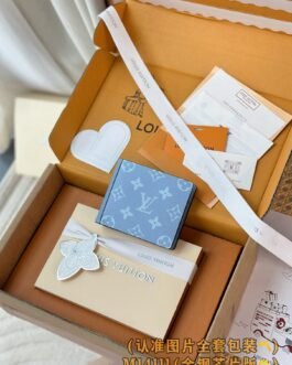 【LOUIS VUITTON】LV Bag OG