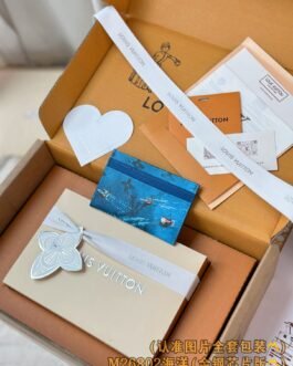 【LOUIS VUITTON】LV Bag OG