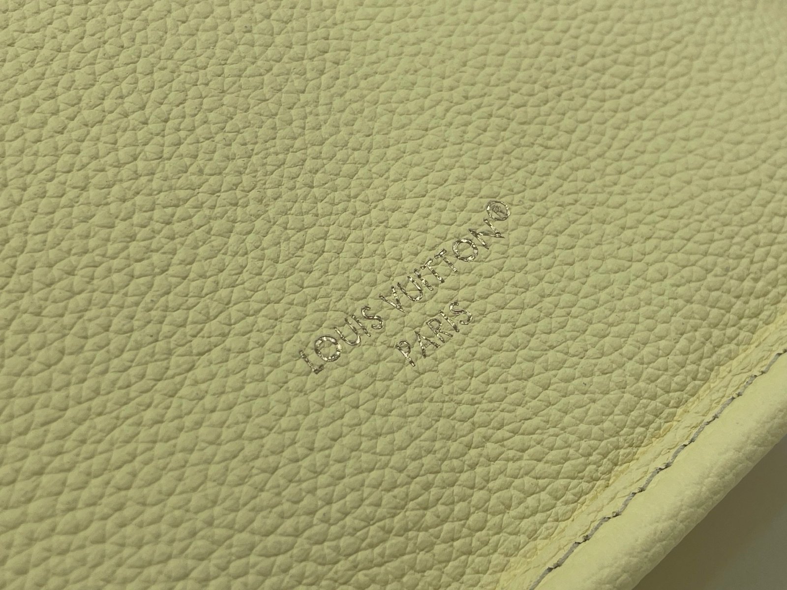 【LOUIS VUITTON】LV Bag OG - 图片 5