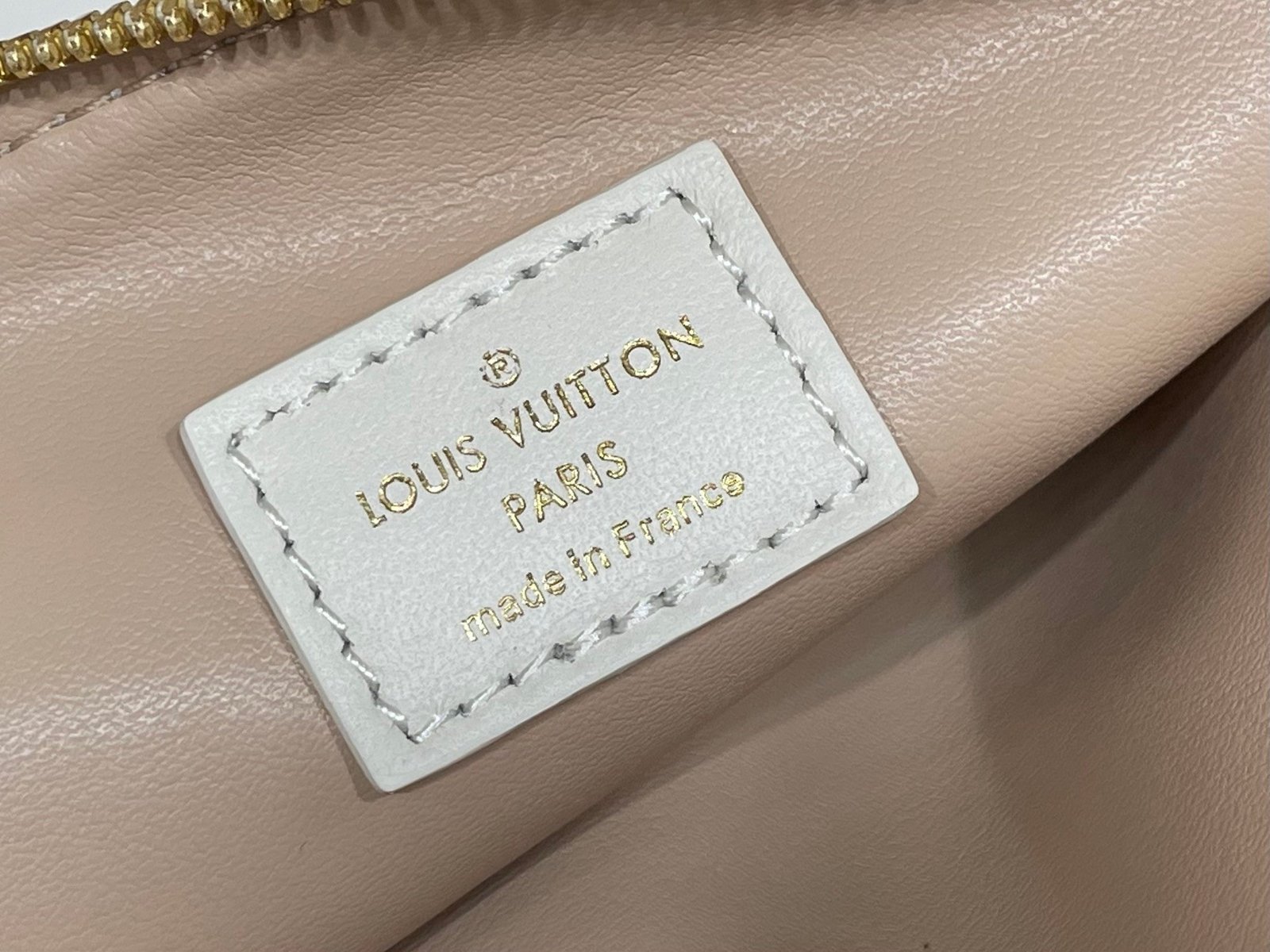 【LOUIS VUITTON】LV Bag OG - 图片 11