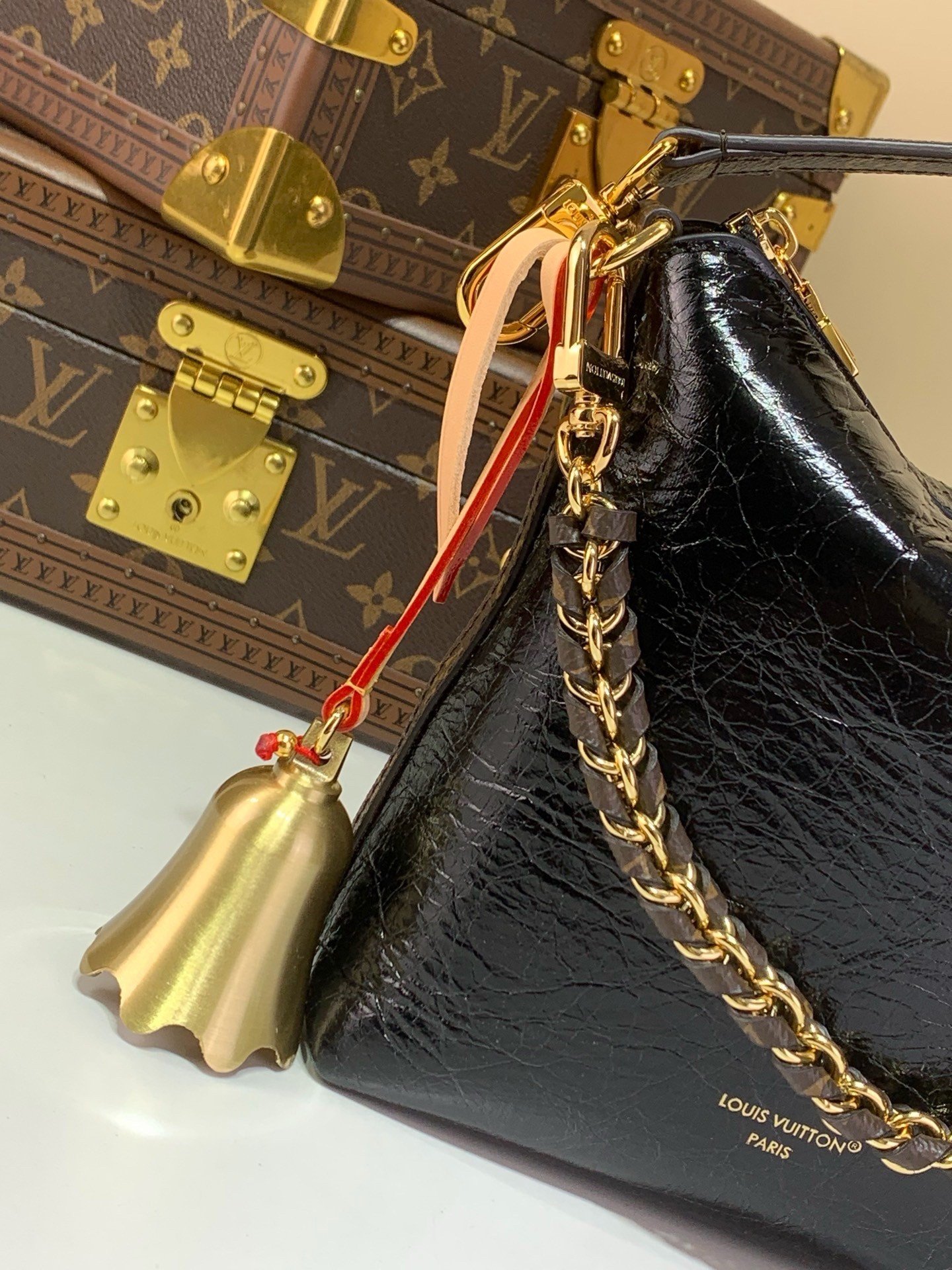 【LOUIS VUITTON】LV Bag OG - 图片 5