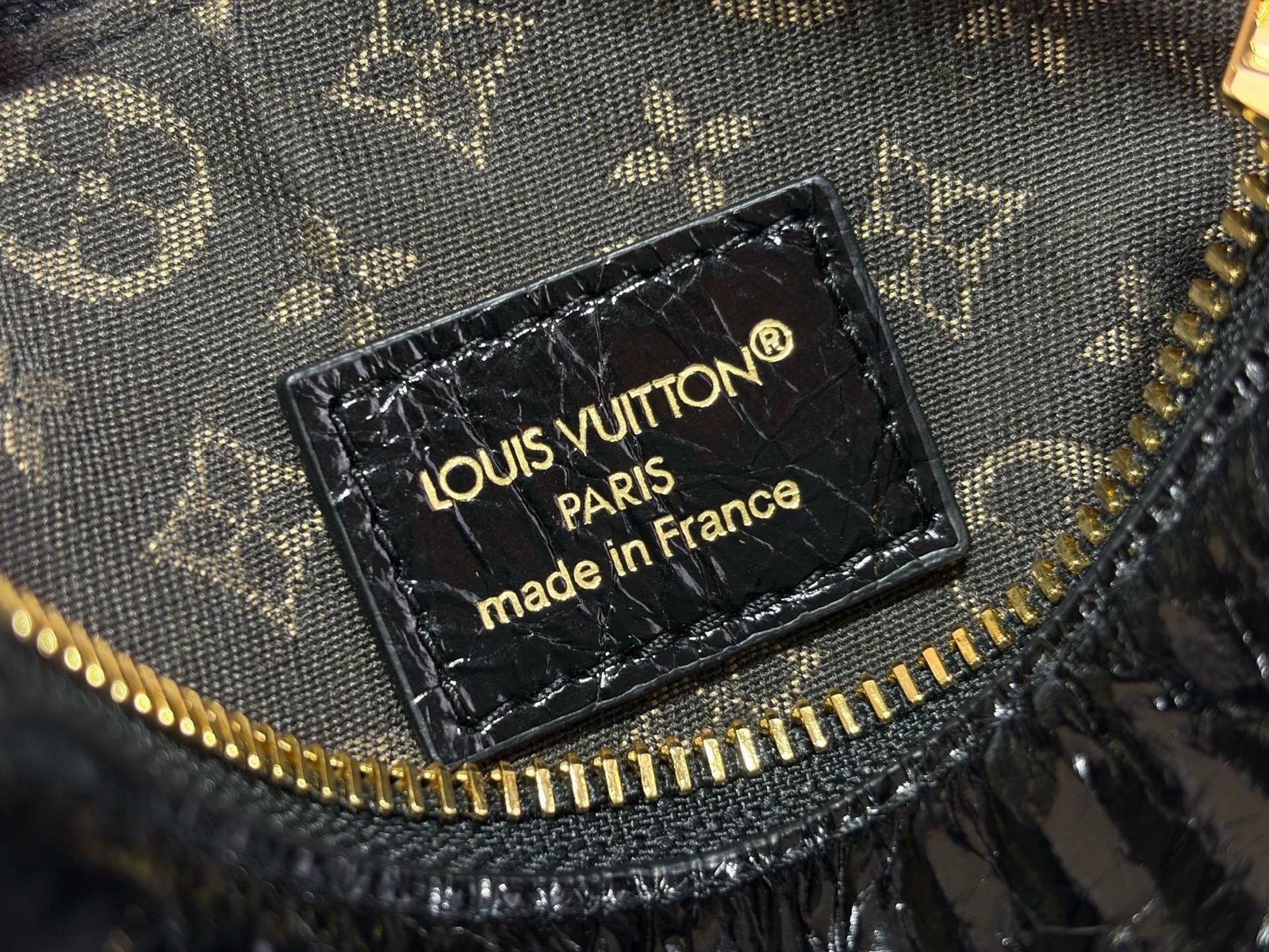 【LOUIS VUITTON】LV Bag OG - 图片 9