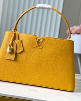 【LOUIS VUITTON】LV Bag OG