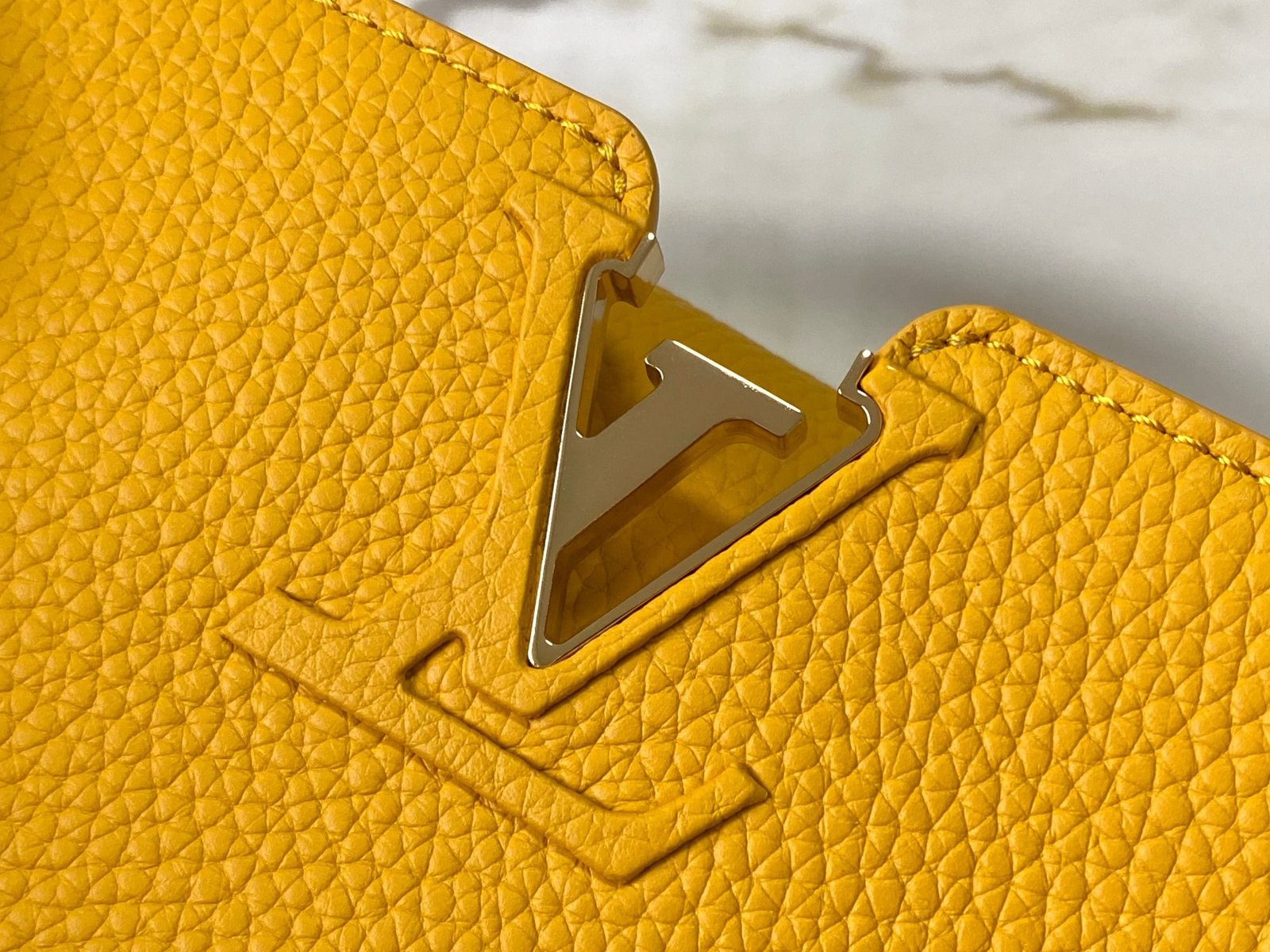【LOUIS VUITTON】LV Bag OG - 图片 4