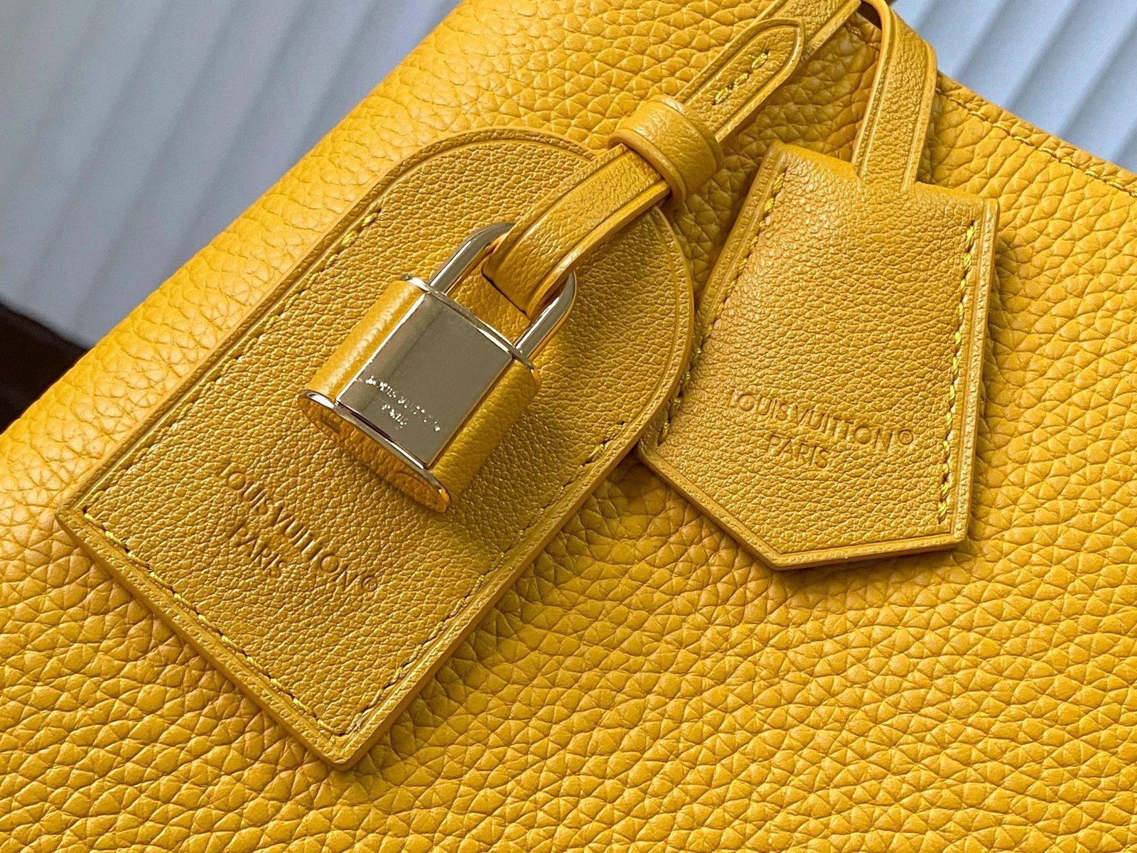 【LOUIS VUITTON】LV Bag OG - 图片 5