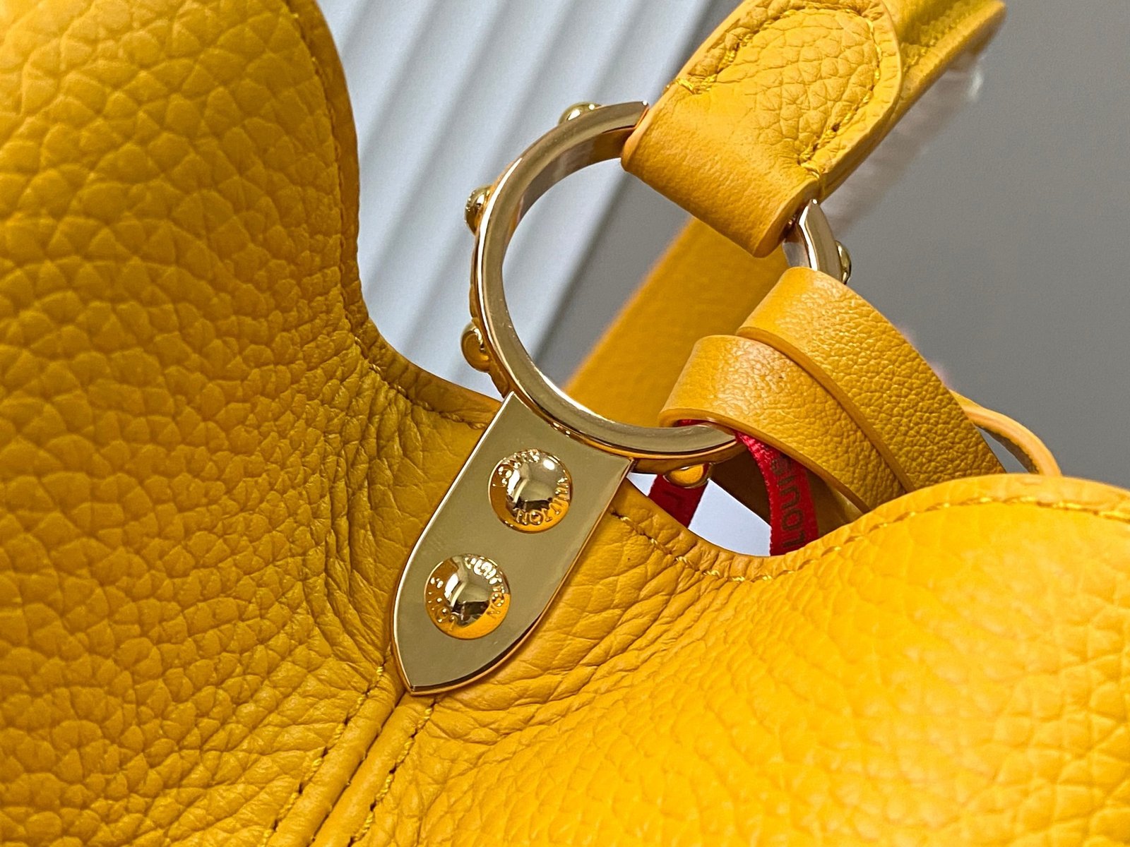 【LOUIS VUITTON】LV Bag OG - 图片 7