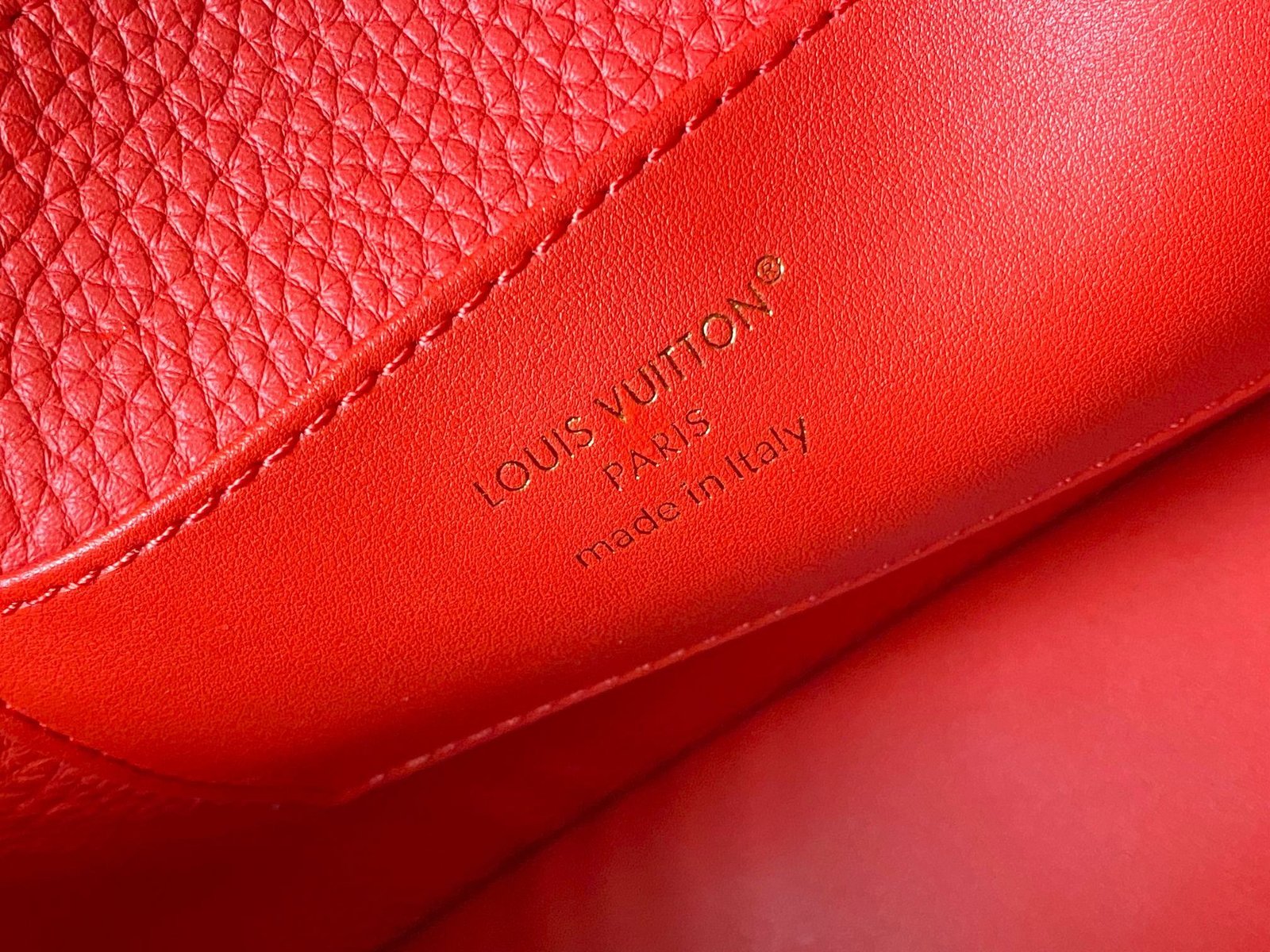【LOUIS VUITTON】LV Bag OG - 图片 8