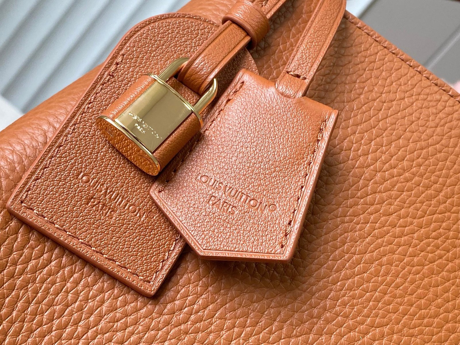 【LOUIS VUITTON】LV Bag OG - 图片 4