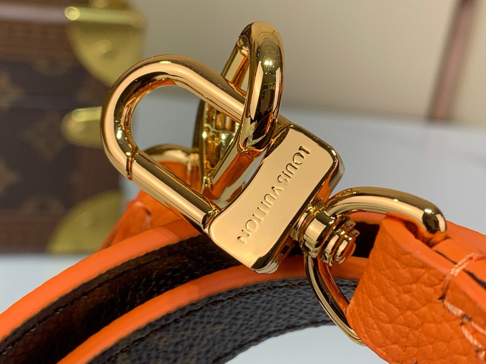 【LOUIS VUITTON】LV Bag OG - 图片 6
