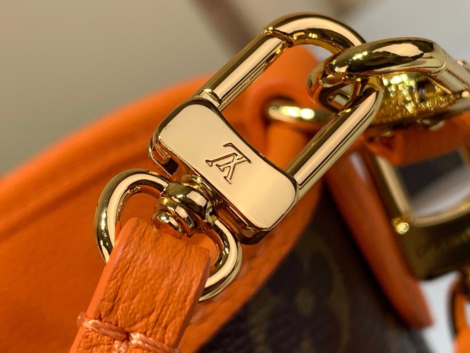 【LOUIS VUITTON】LV Bag OG - 图片 7