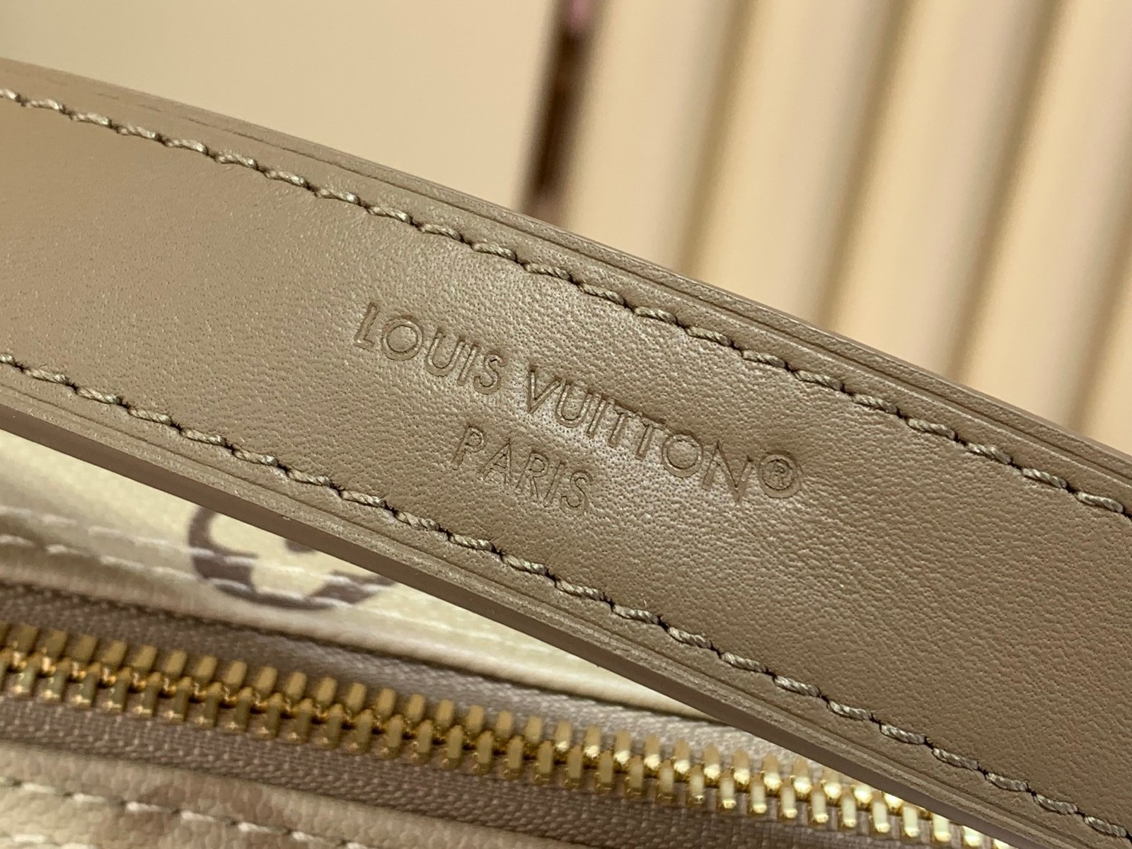 【LOUIS VUITTON】LV Bag OG - 图片 5