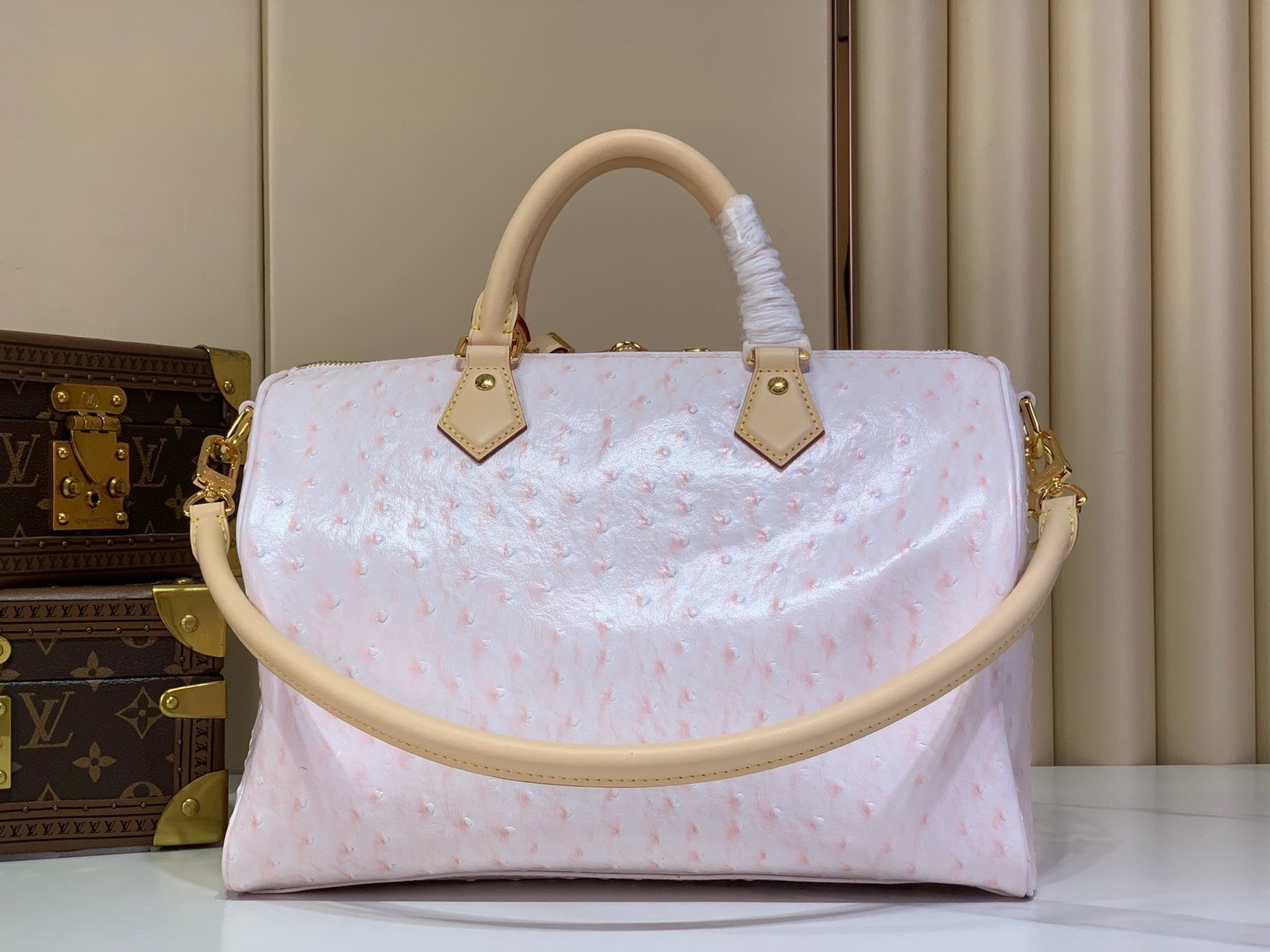 【LOUIS VUITTON】LV Bag OG - 图片 2