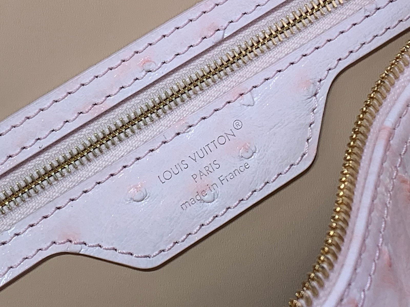 【LOUIS VUITTON】LV Bag OG - 图片 6