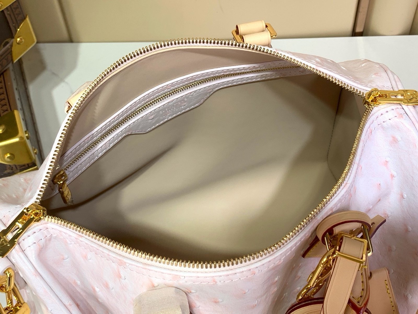 【LOUIS VUITTON】LV Bag OG - 图片 7