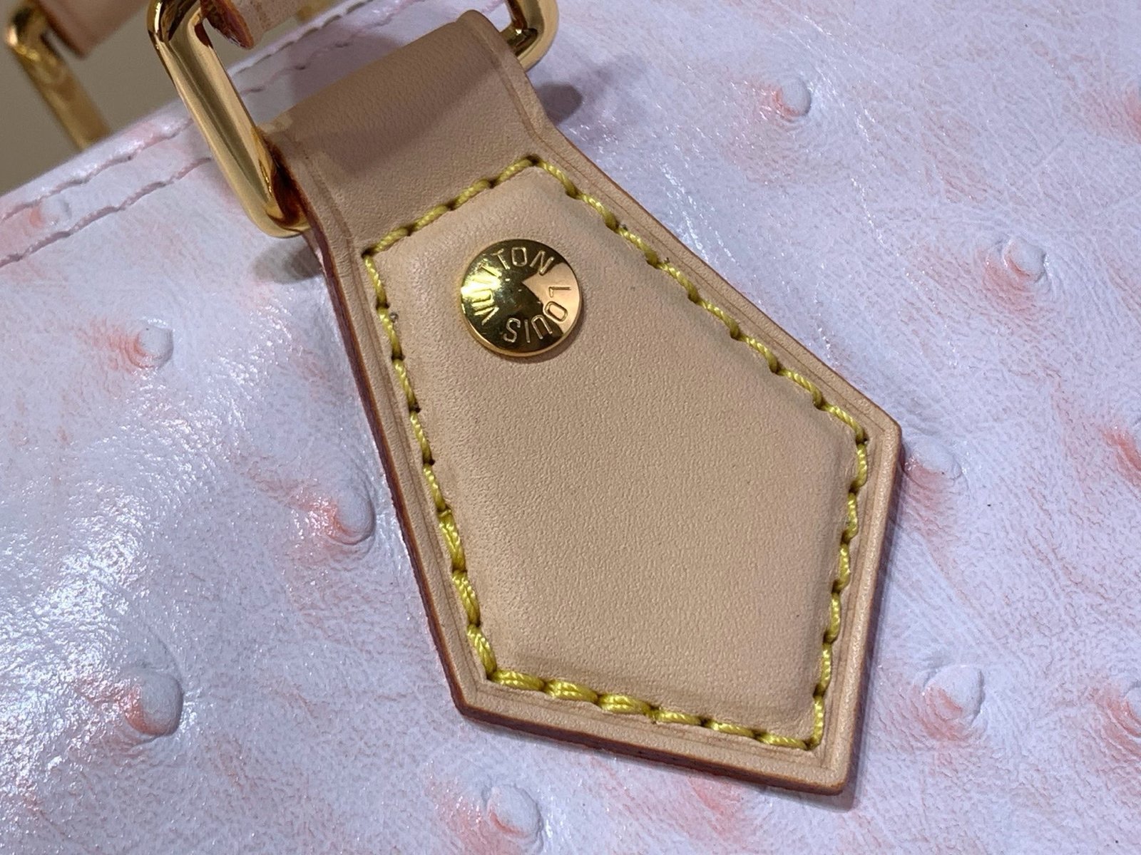 【LOUIS VUITTON】LV Bag OG - 图片 10