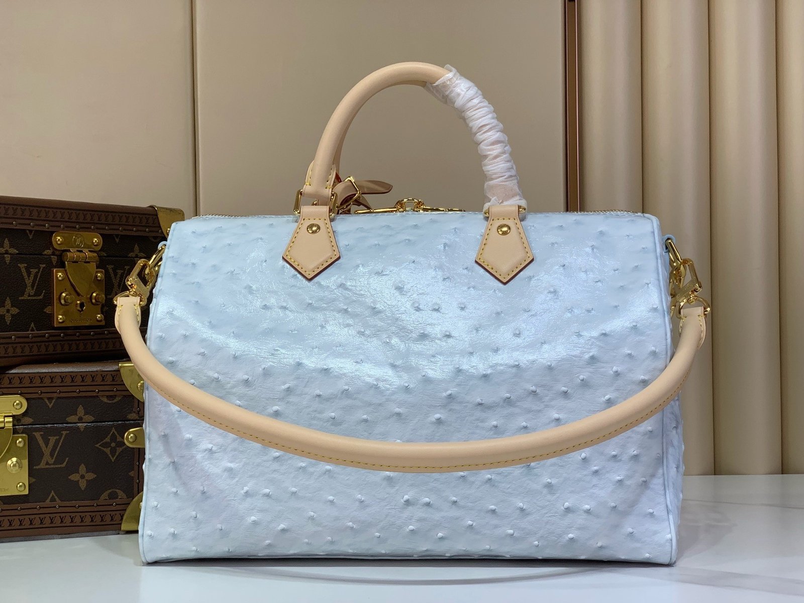 【LOUIS VUITTON】LV Bag OG - 图片 2