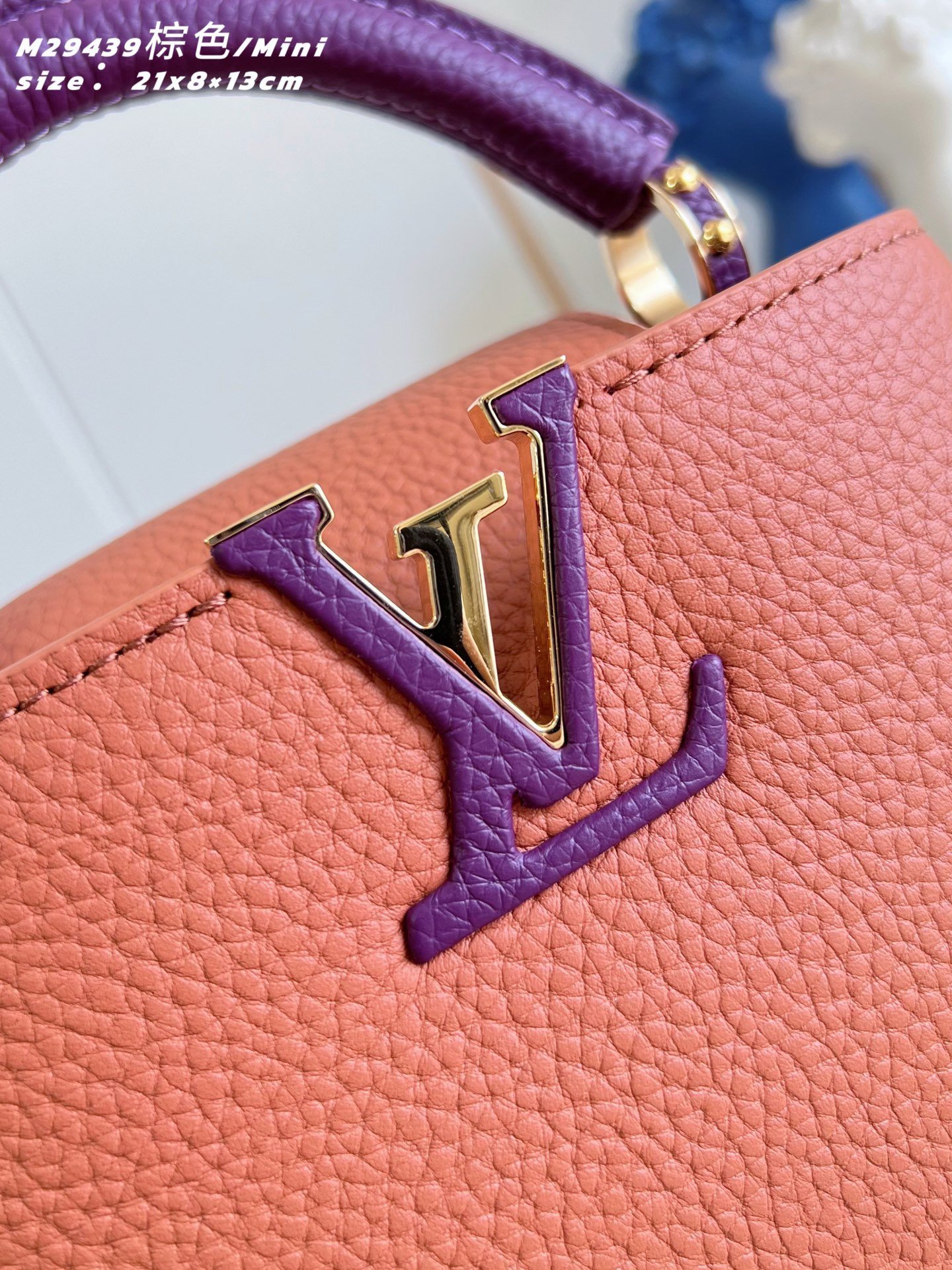 【LOUIS VUITTON】LV Bag OG - 图片 2