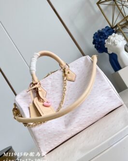 【LOUIS VUITTON】LV Bag OG