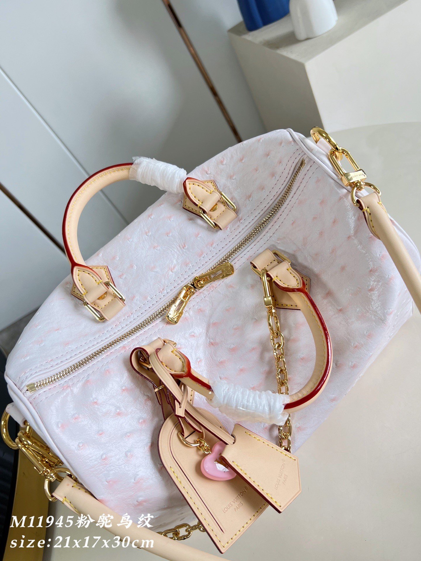【LOUIS VUITTON】LV Bag OG - 图片 8