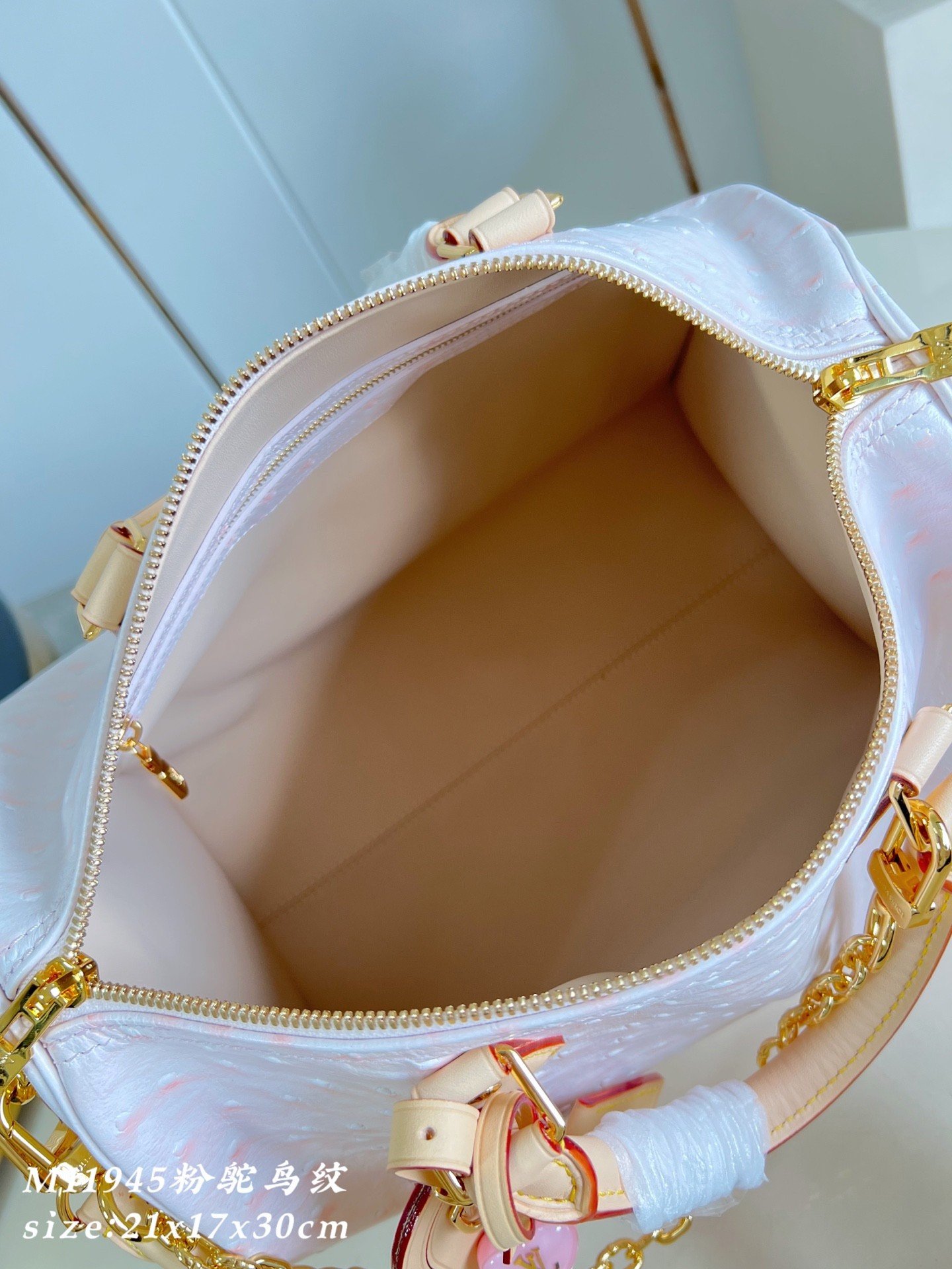 【LOUIS VUITTON】LV Bag OG - 图片 10