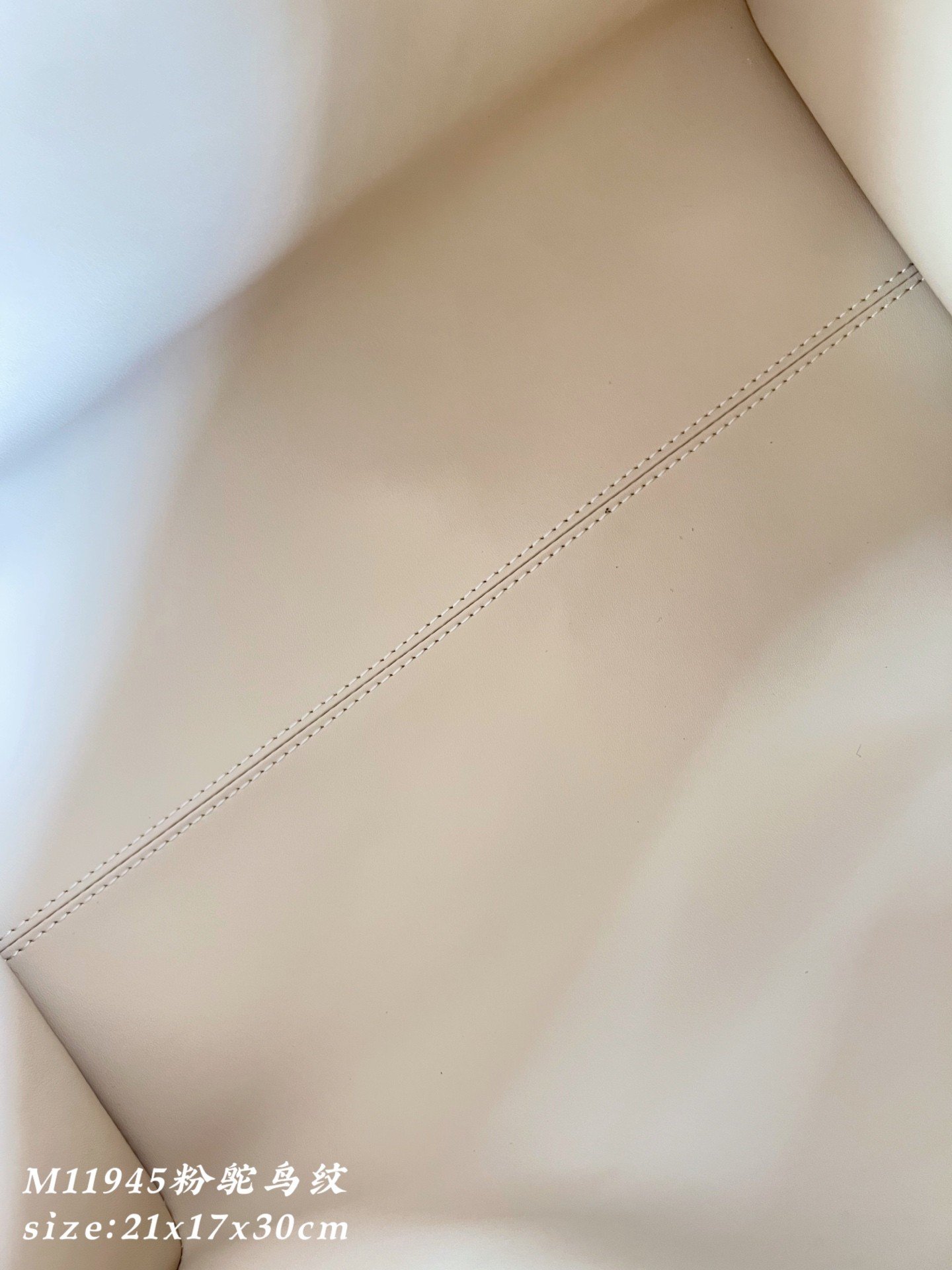 【LOUIS VUITTON】LV Bag OG - 图片 11