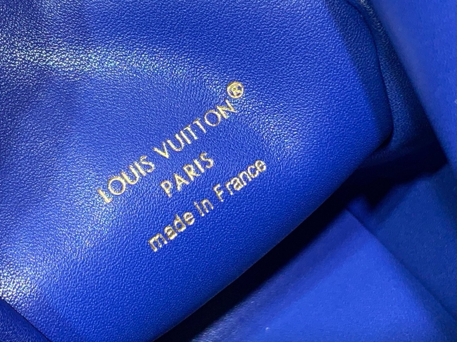 【LOUIS VUITTON】LV Bag OG - 图片 8