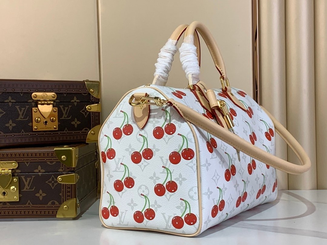 【LOUIS VUITTON】LV Bag OG - 图片 2