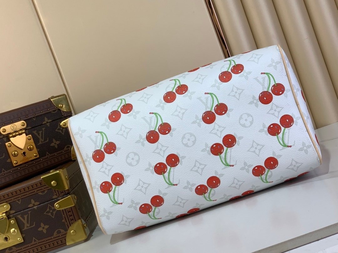 【LOUIS VUITTON】LV Bag OG - 图片 4