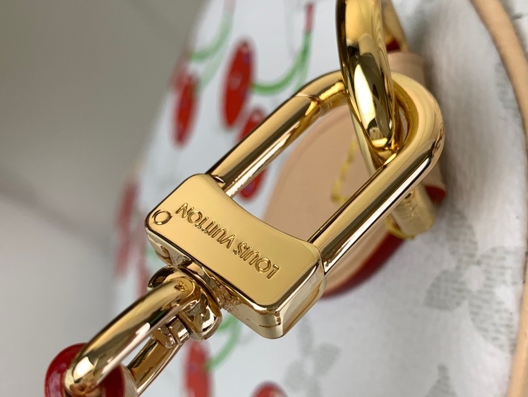 【LOUIS VUITTON】LV Bag OG - 图片 5