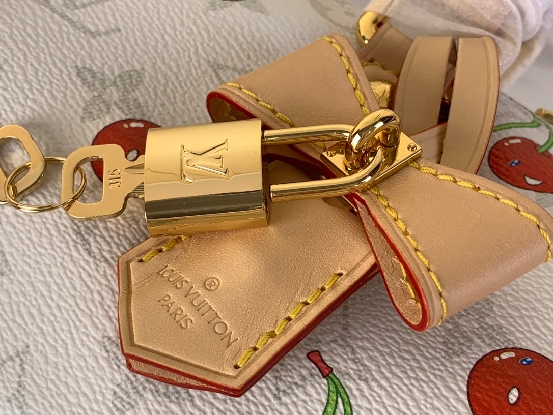 【LOUIS VUITTON】LV Bag OG - 图片 6