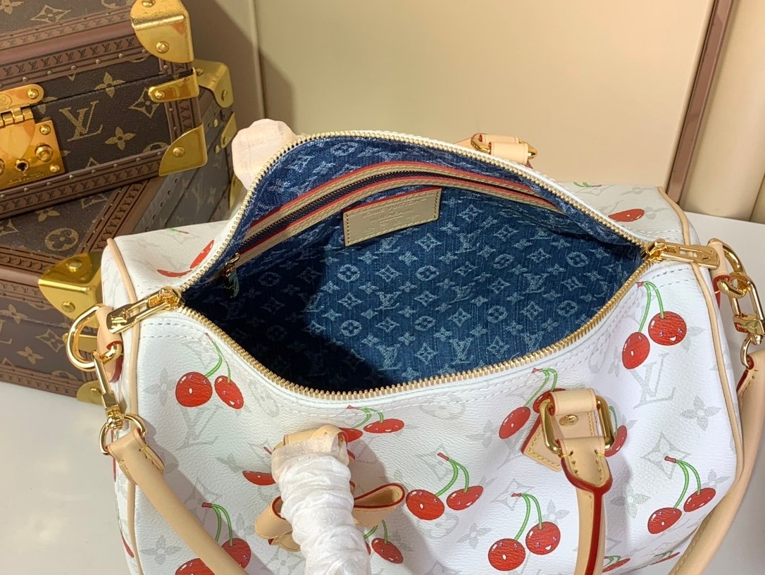 【LOUIS VUITTON】LV Bag OG - 图片 8