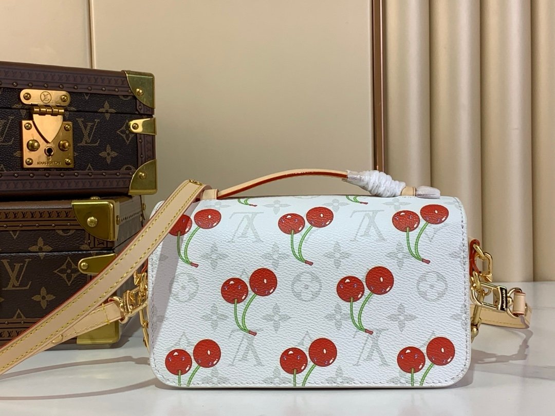 【LOUIS VUITTON】LV Bag OG - 图片 3