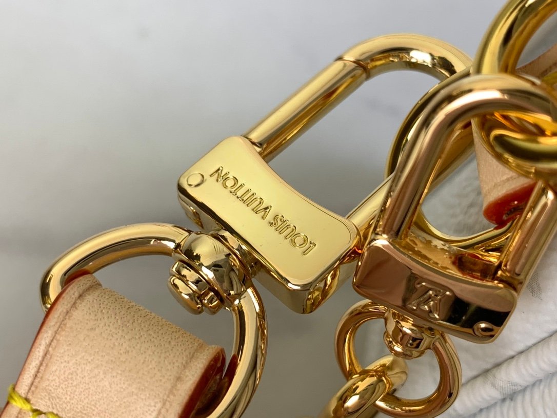 【LOUIS VUITTON】LV Bag OG - 图片 6