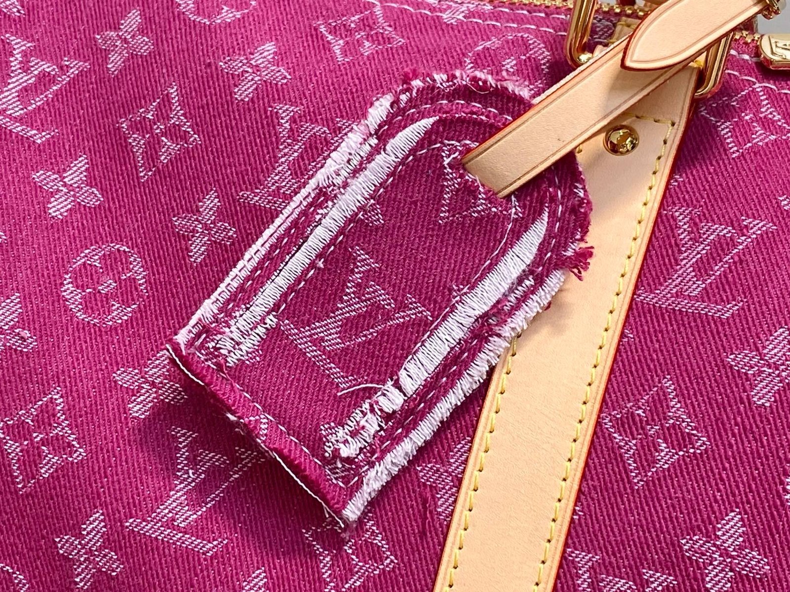 【LOUIS VUITTON】LV Bag OG - 图片 5
