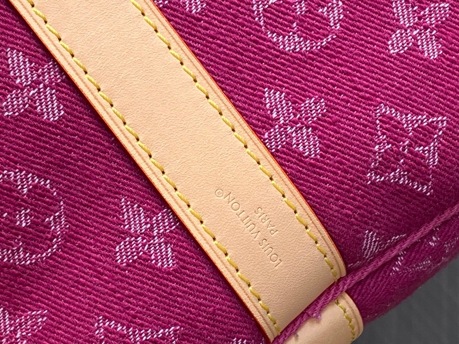 【LOUIS VUITTON】LV Bag OG - 图片 7