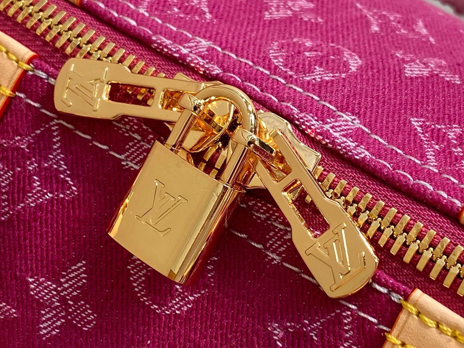 【LOUIS VUITTON】LV Bag OG - 图片 8