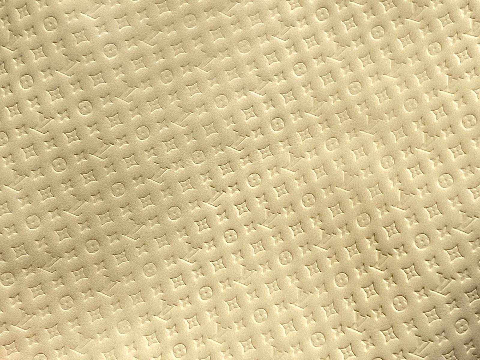 【LOUIS VUITTON】LV Bag OG - 图片 6