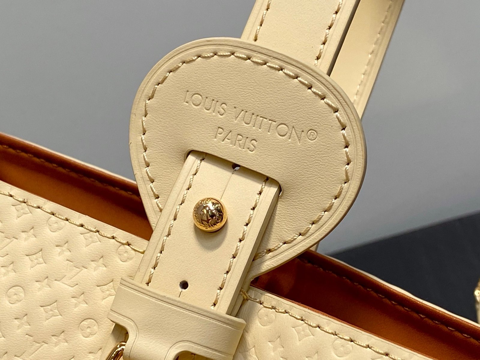 【LOUIS VUITTON】LV Bag OG - 图片 8