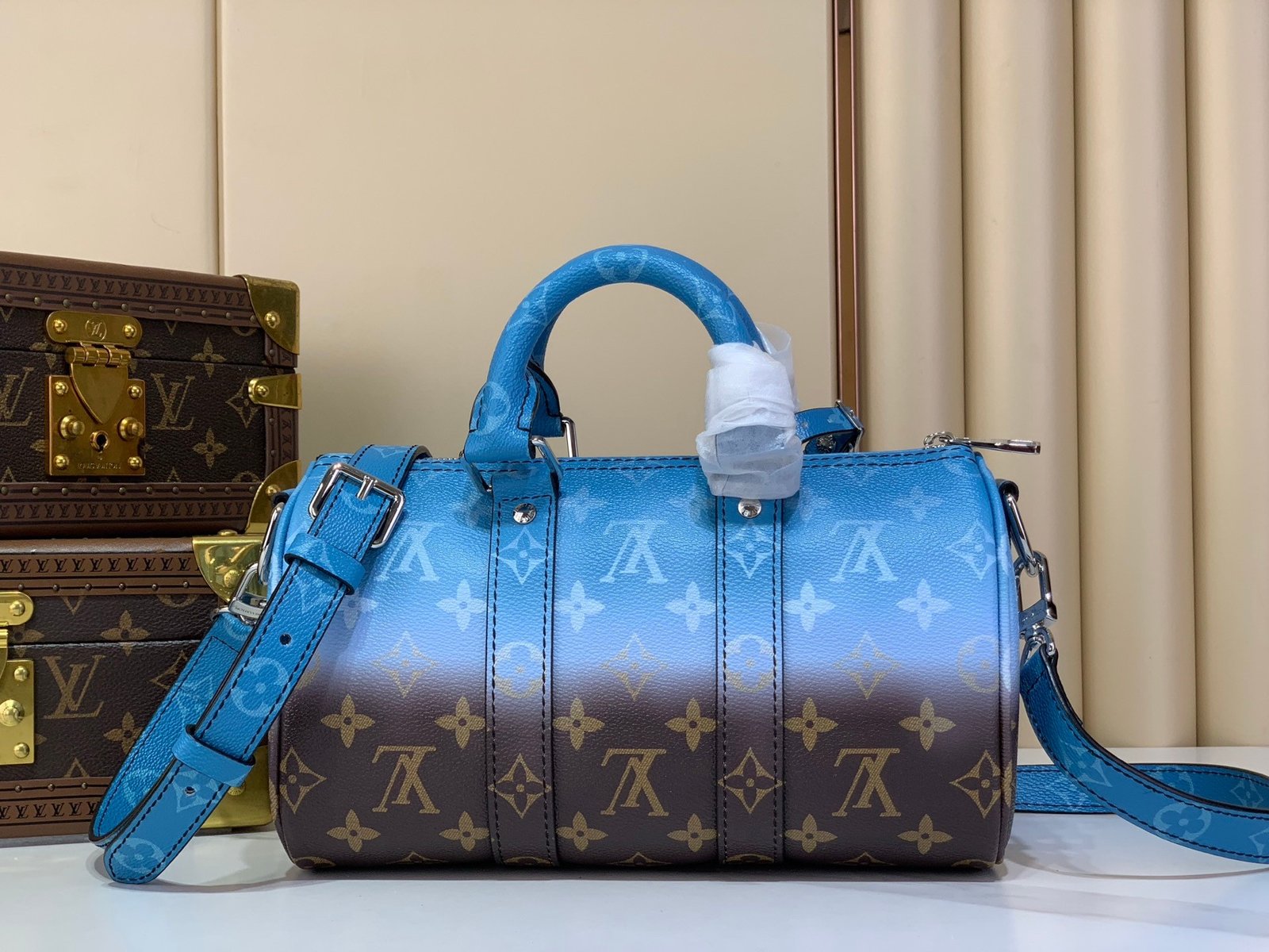 【LOUIS VUITTON】LV Bag OG - 图片 3